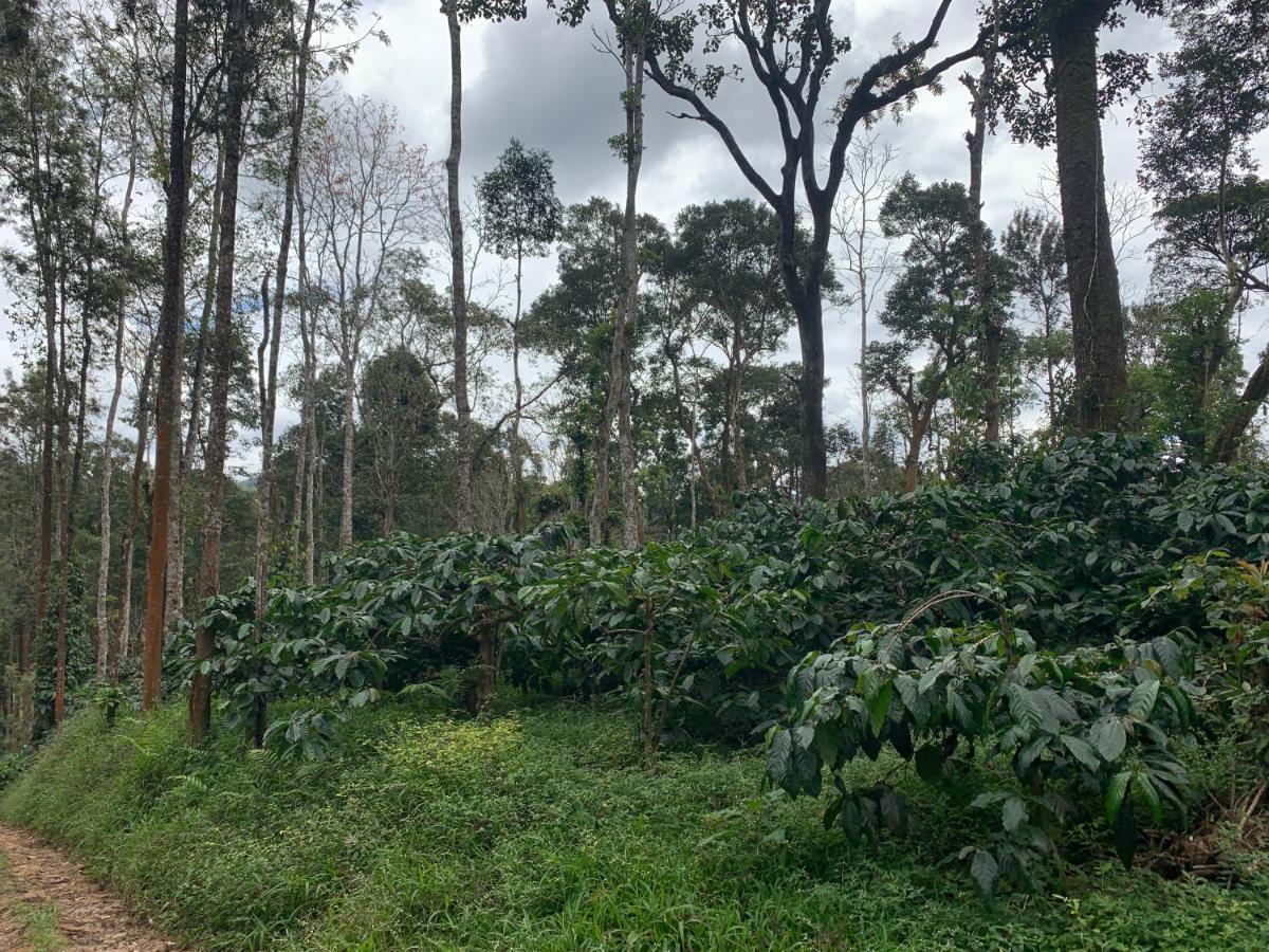 Sandev Homestay Madikeri Exterior foto