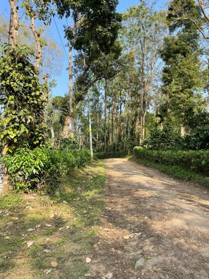 Sandev Homestay Madikeri Exterior foto